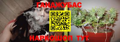 скорость Гатчина